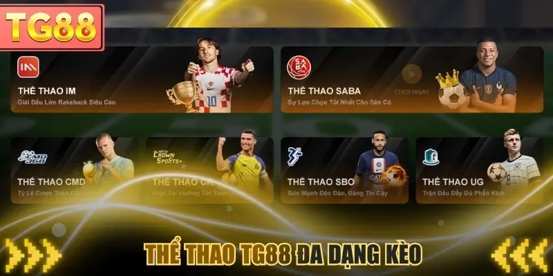 Sảnh thể thao TG88 đa dạng kèo cược từ nhà cái