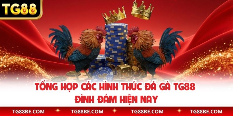 Tổng hợp các hình thức đá gà TG88 đình đám hiện nay
